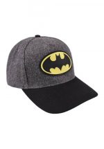 Gorra Visera Curva Batman