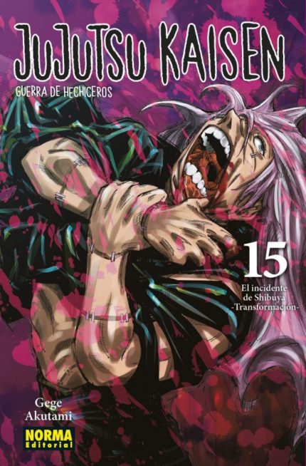 Jujutsu Kaisen Guerra de Hechiceros 15