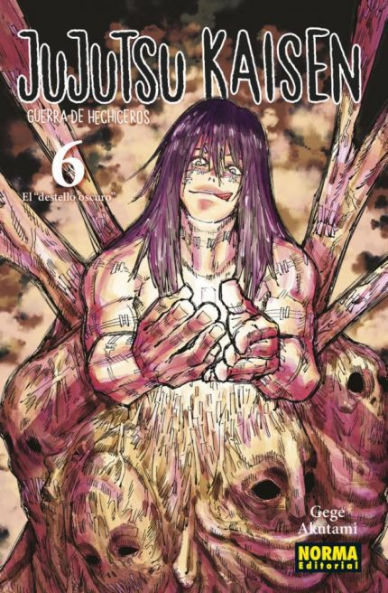 Jujutsu Kaisen Guerra de Hechiceros 6