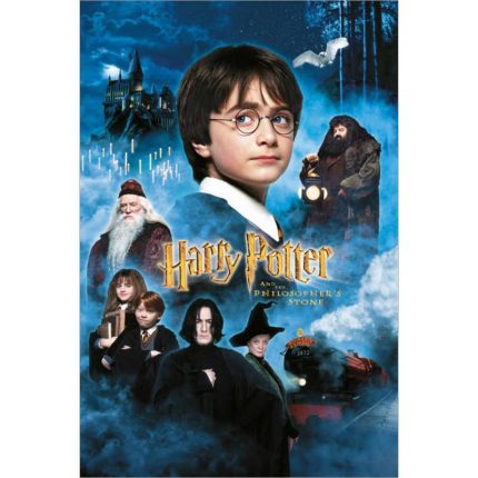 Poster de Vidrio Harry Potter La Piedra Filosofal