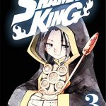 Shaman King 3